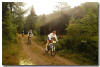 Trans Black Forest (7 Day Stage Race)
